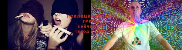шишки Абинск
