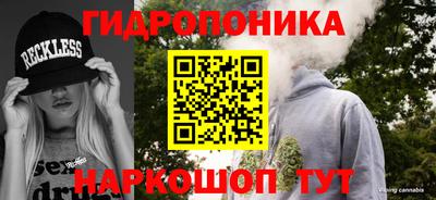 крисы Рыбинск