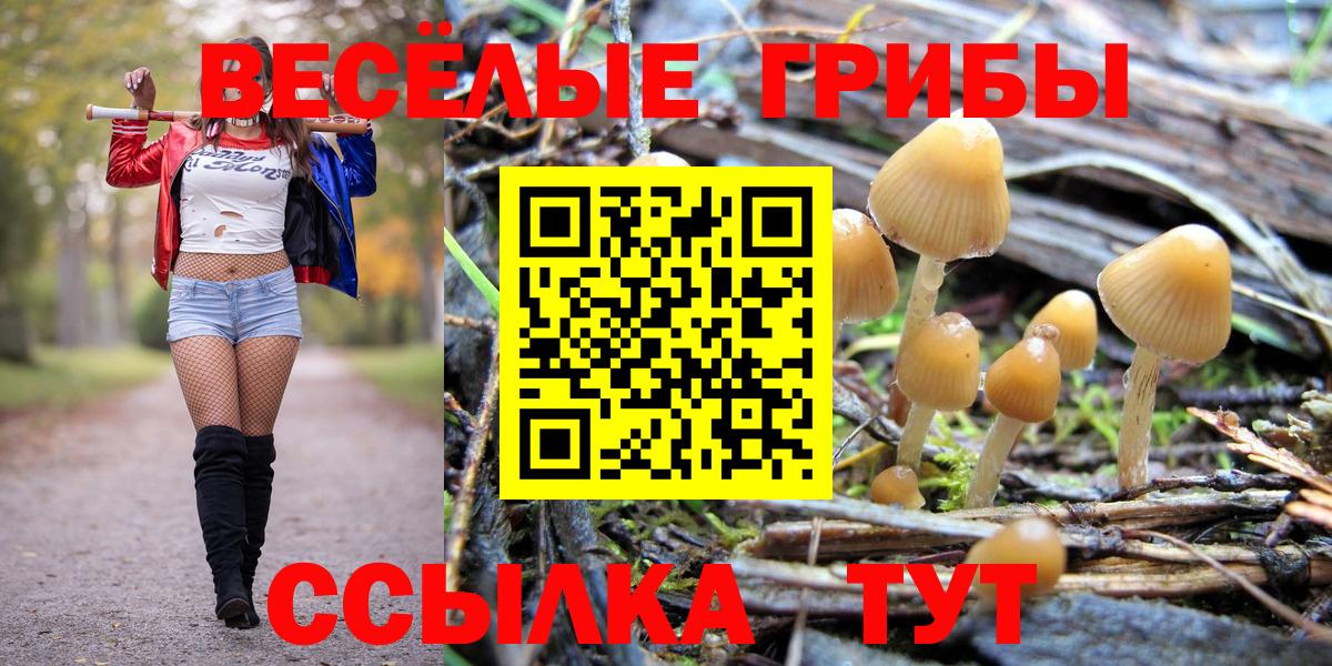 Галлюциногенные грибы MAGIC MUSHROOMS  Вход с VPN  Тутаев  Галлюциногенные грибы Cubensis 