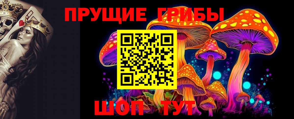 Галлюциногенные грибы MAGIC MUSHROOMS Тутаев