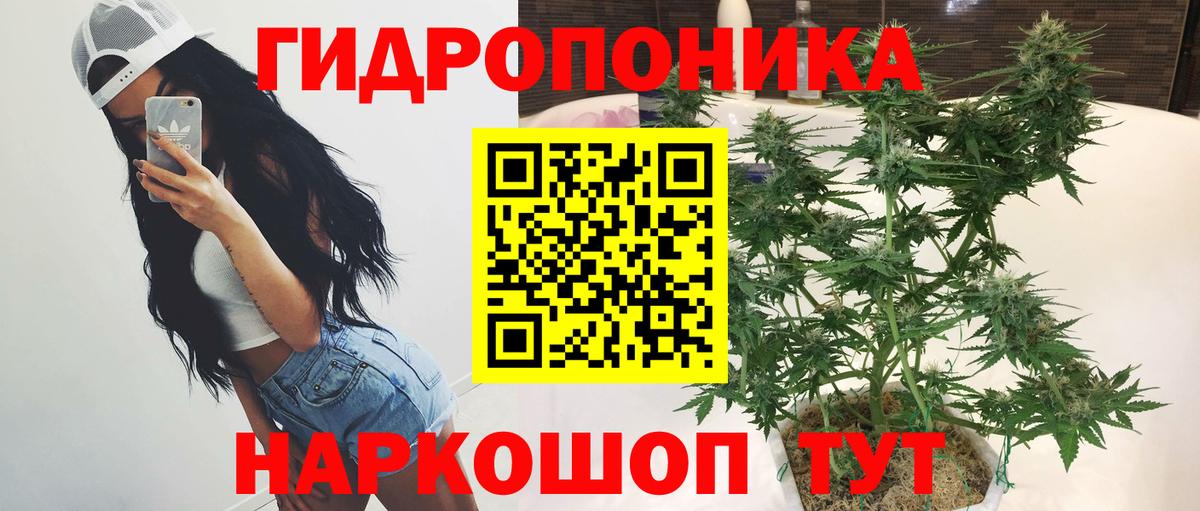 Бошки марихуана марихуана Тутаев